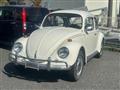 1969 Volkswagen Volkswagen Others