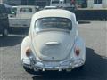 1969 Volkswagen Volkswagen Others