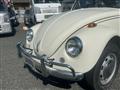 1969 Volkswagen Volkswagen Others