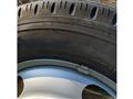2010 Isuzu Isuzu Others