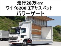 2017 Hino Hino Others