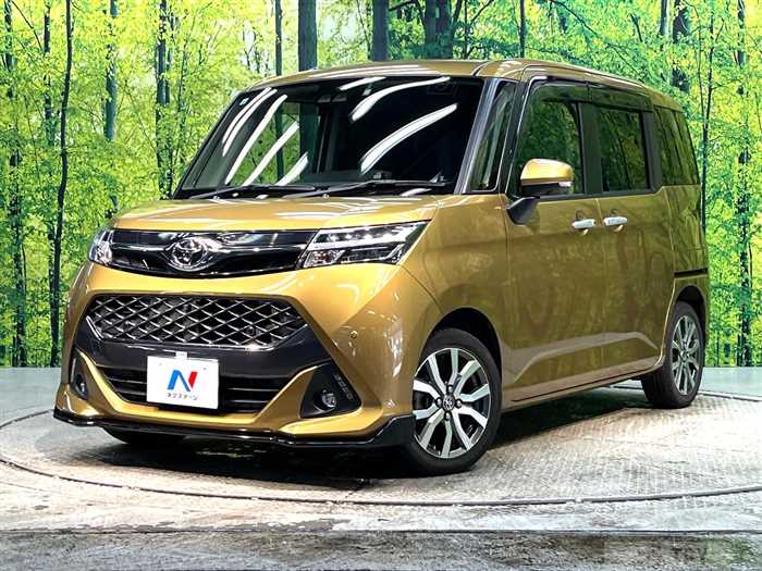 2019 Toyota Tank