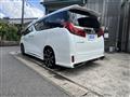 2020 Toyota Alphard G