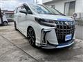 2020 Toyota Alphard G