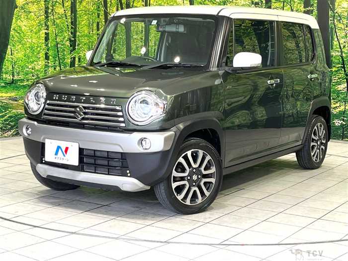 2017 Suzuki Hustler