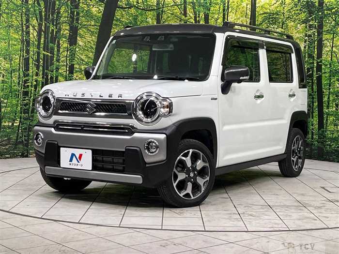 2021 Suzuki Hustler