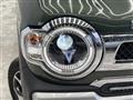 2021 Suzuki Hustler