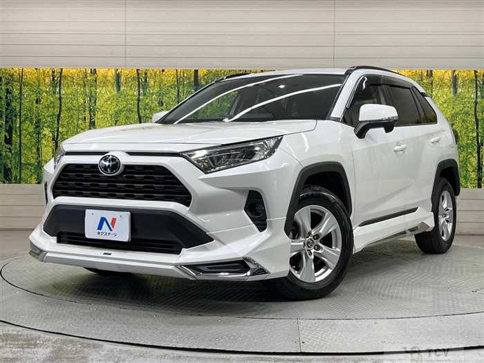 2019 Toyota RAV4