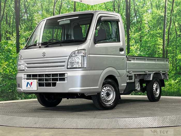 2017 Suzuki Carry Truck