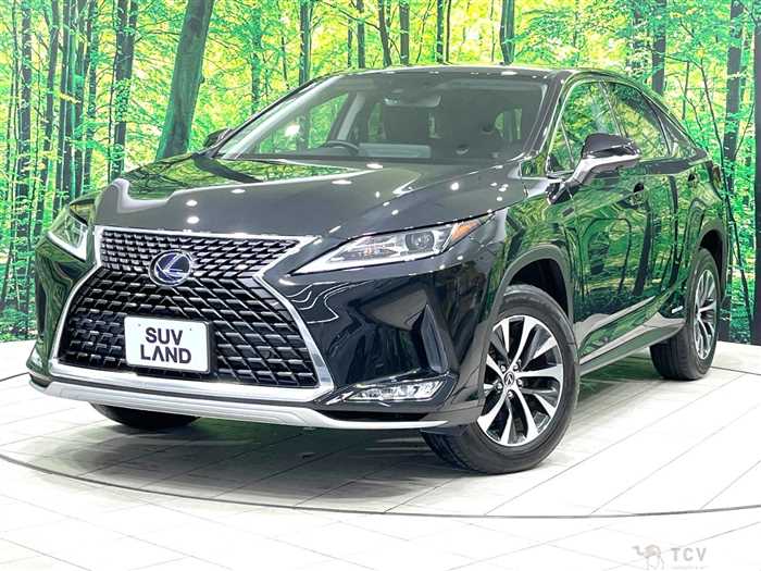 2021 Lexus RX