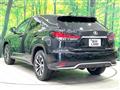 2021 Lexus RX