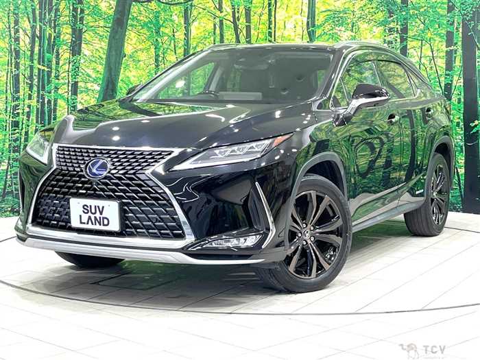 2021 Lexus RX