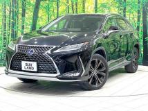 2021 Lexus RX