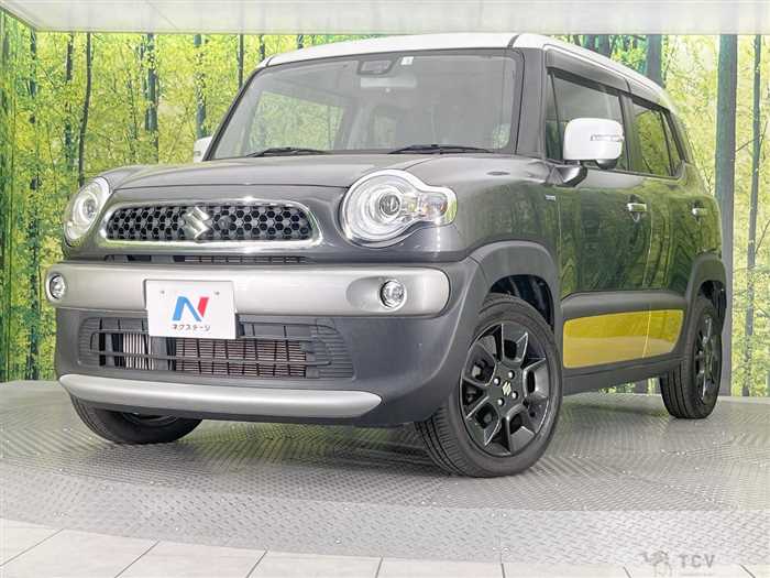 2018 Suzuki Suzuki Others