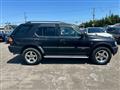 1998 Isuzu Wizard