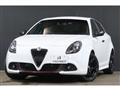 2019 Alfa Romeo Alfa Romeo Others