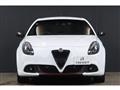 2019 Alfa Romeo Alfa Romeo Others