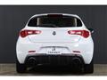 2019 Alfa Romeo Alfa Romeo Others