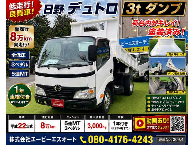 2010 Hino Dutro