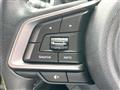 2017 Subaru Subaru Others