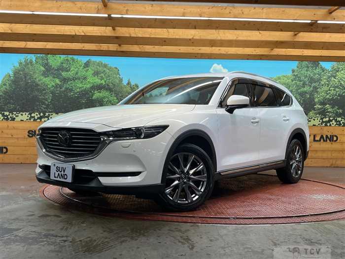 2019 Mazda CX-8