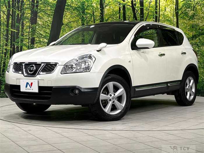2013 Nissan Dualis