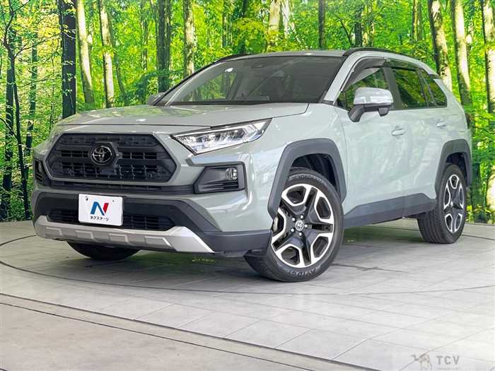 2019 Toyota RAV4