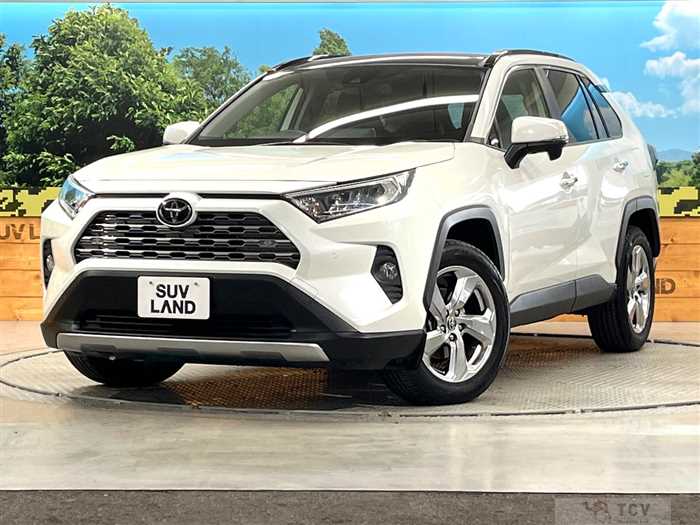 2020 Toyota RAV4