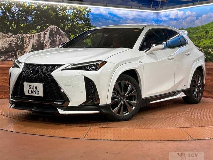 2020 Lexus Other