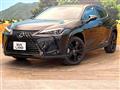 2021 Lexus Other