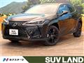 2021 Lexus Other