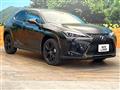 2021 Lexus Other