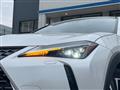 2024 Lexus Other