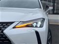 2024 Lexus Other