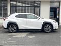 2024 Lexus Other