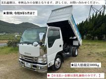 2010 Isuzu Isuzu Others