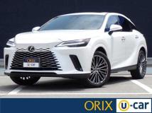 2024 Lexus RX