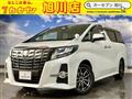 2015 Toyota Alphard G