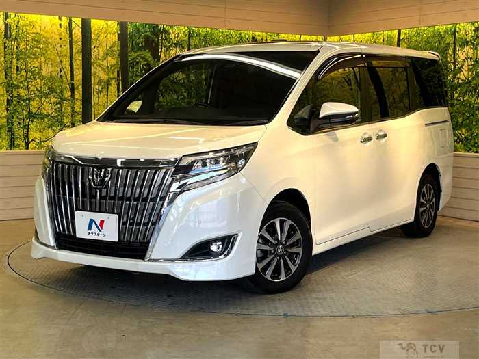2019 Toyota Esquire