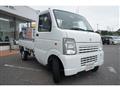 2010 Suzuki Carry Truck