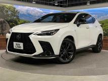 2022 Lexus NX