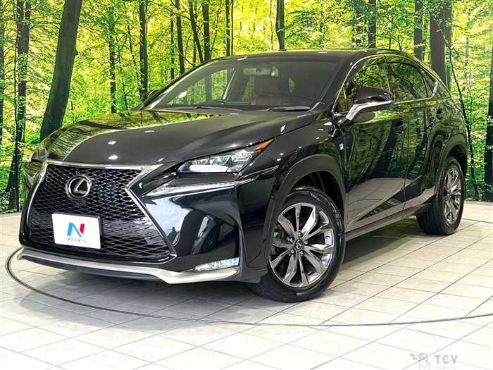2016 Lexus NX