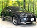 2016 Lexus NX
