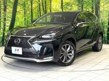 2016 Lexus NX