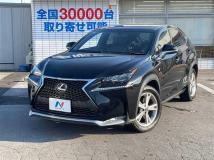 2015 Lexus NX