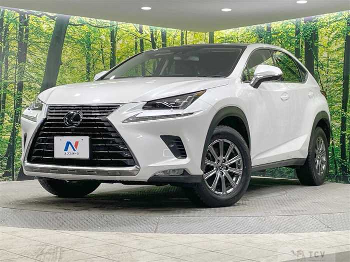 2019 Lexus NX