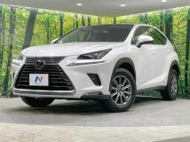 2019 Lexus NX