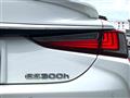 2020 Lexus ES