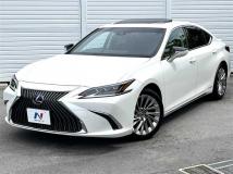 2020 Lexus ES
