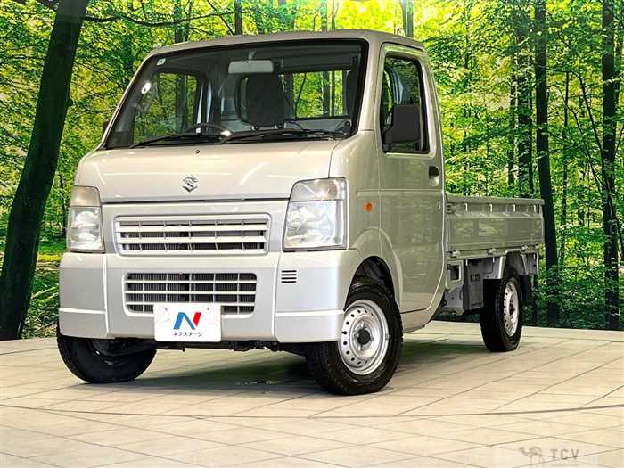 2013 Suzuki Carry Truck